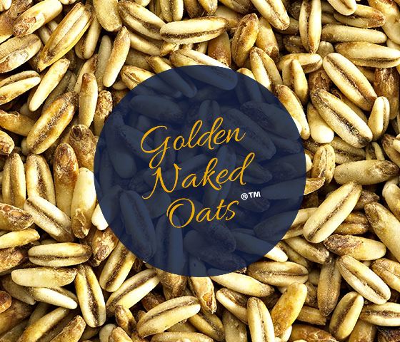 Simpsons GOLDEN NAKED OATS 