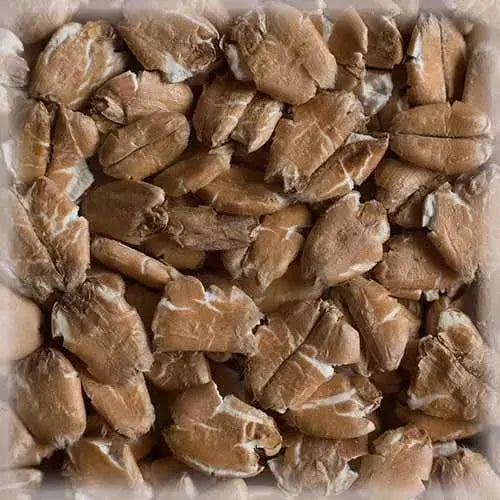 Chateau CHIT WHEAT FLAKES¨ (kvie?i? dribsniai)