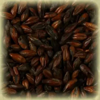 Chateau ROASTED BARLEY